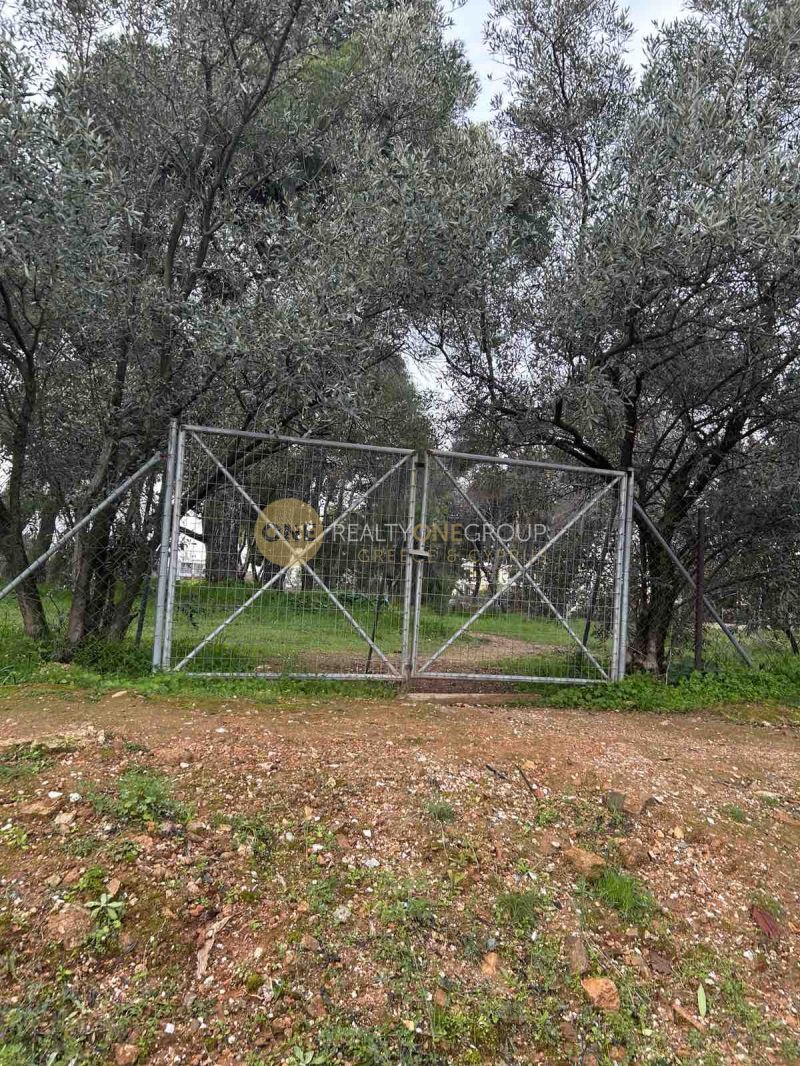 Οικόπεδο 1500 τ.μ.