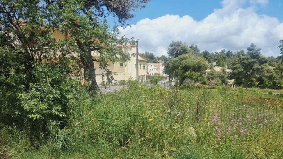 Οικόπεδο 1027 τ.μ.