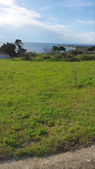 3100 m² Parcel