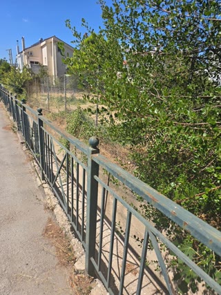 567 m² Plot