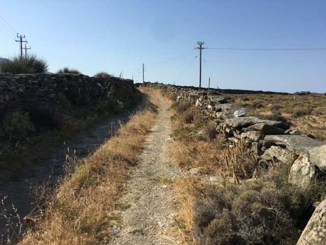 12500 m² Parcel