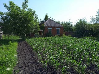 Продам участок с домом под реставрацию в центре Богодухова