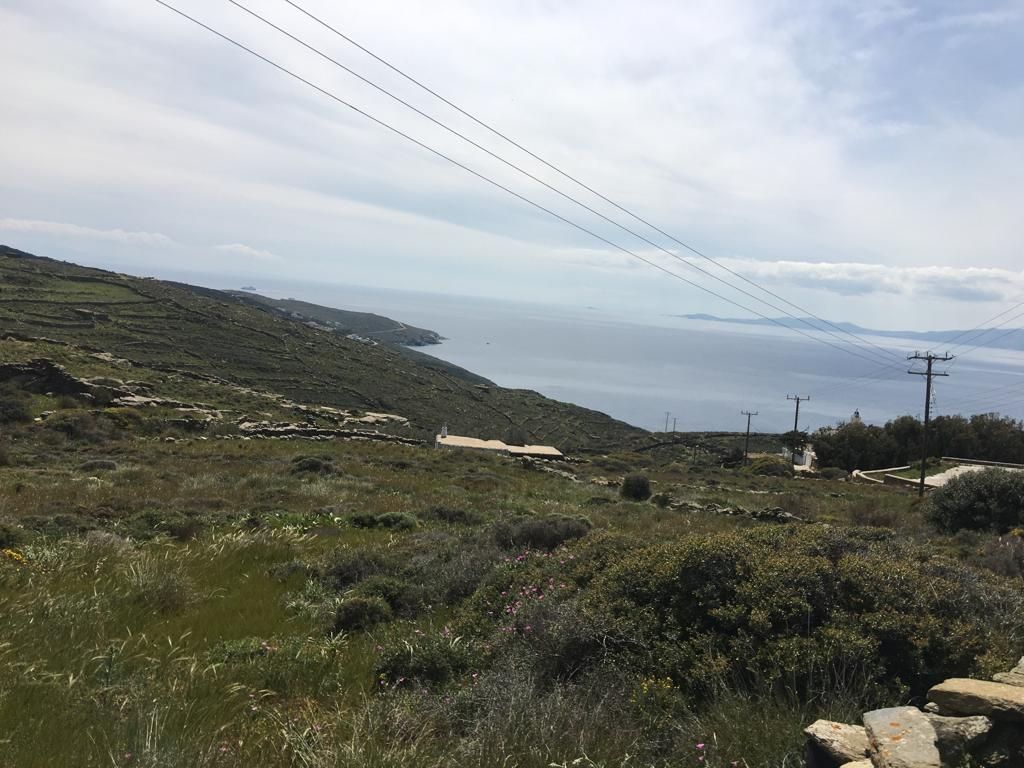 4654 m² Parcel
