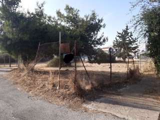 850 m² Plot