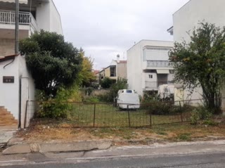 310 m² Plot
