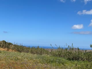 2240 m² Plot