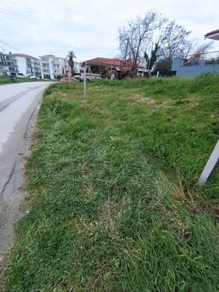 Участок 220 м²