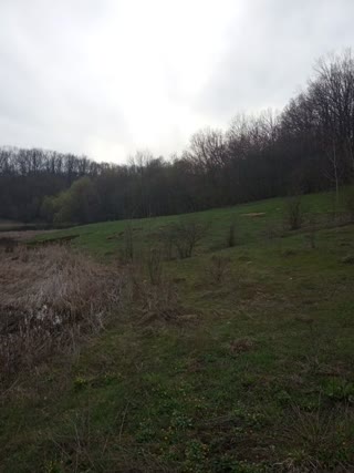 For Sale: Summer Cottage Plot by the Lake
