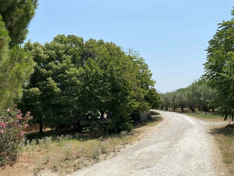 9189 m² Parcel