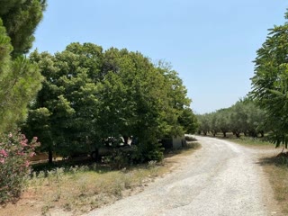 Αγροτεμάχιο 9189τ.μ.