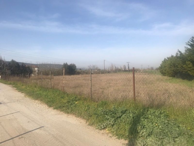 5180 m² Parcel