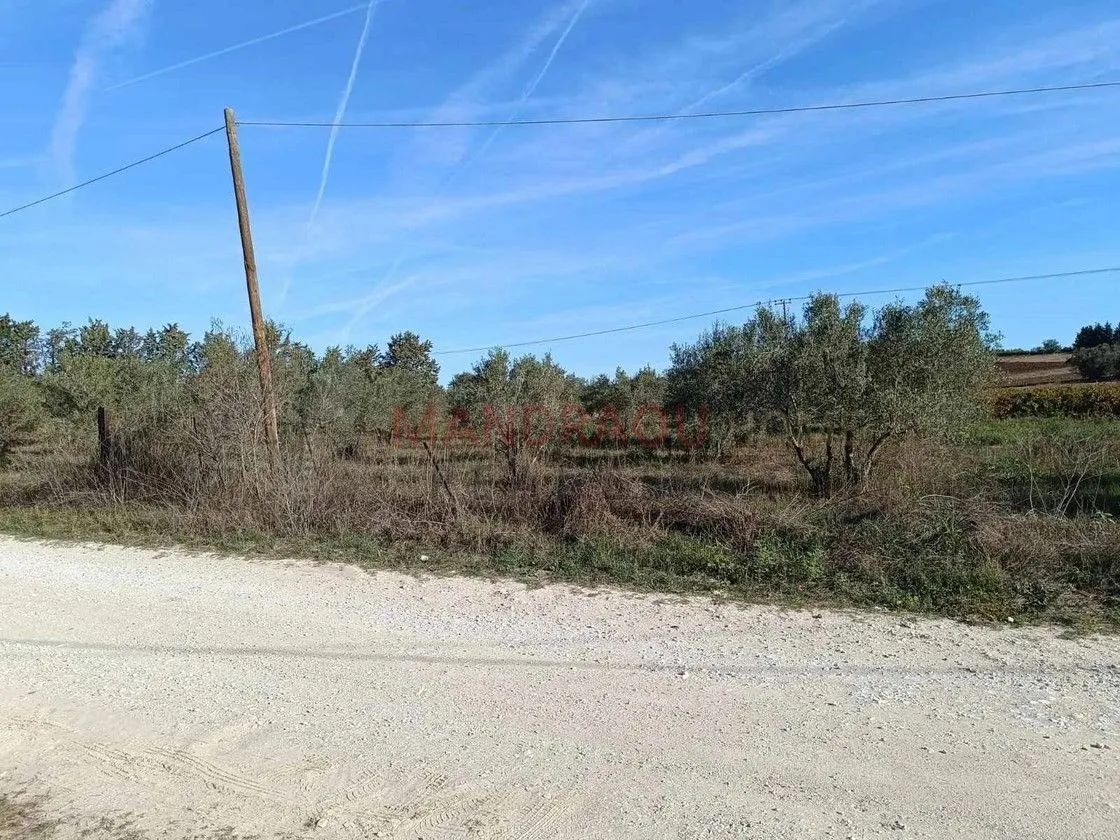 7500 m² Parcel
