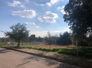 1600 m² Plot