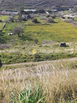 4300 m² Plot