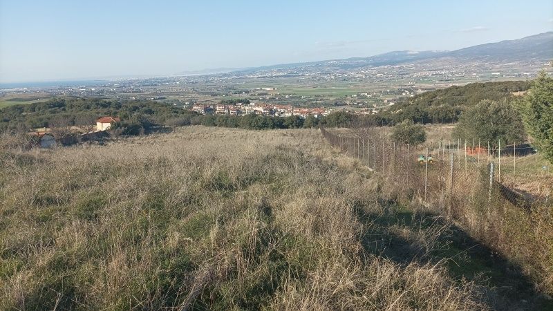 6000 m² Parcel