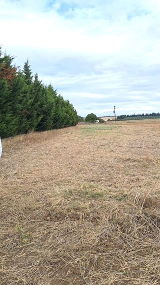Участок, 4200 м²
