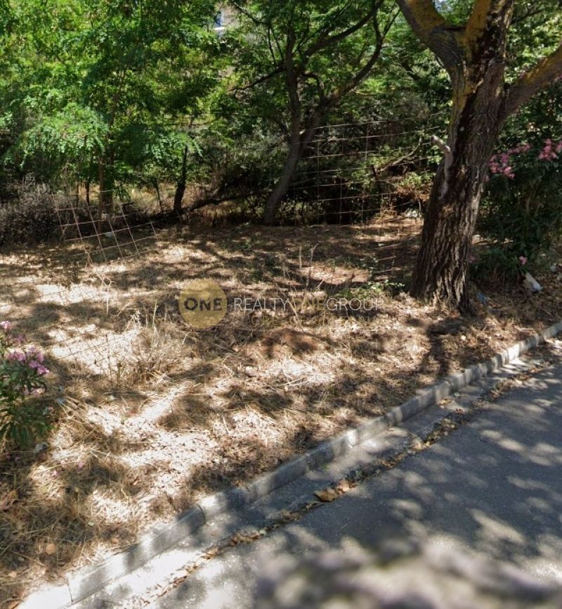 2500 m² Plot
