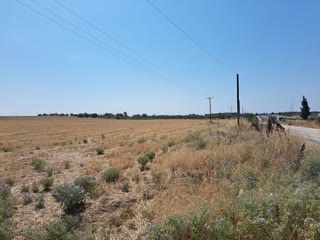 12371 m² Parcel