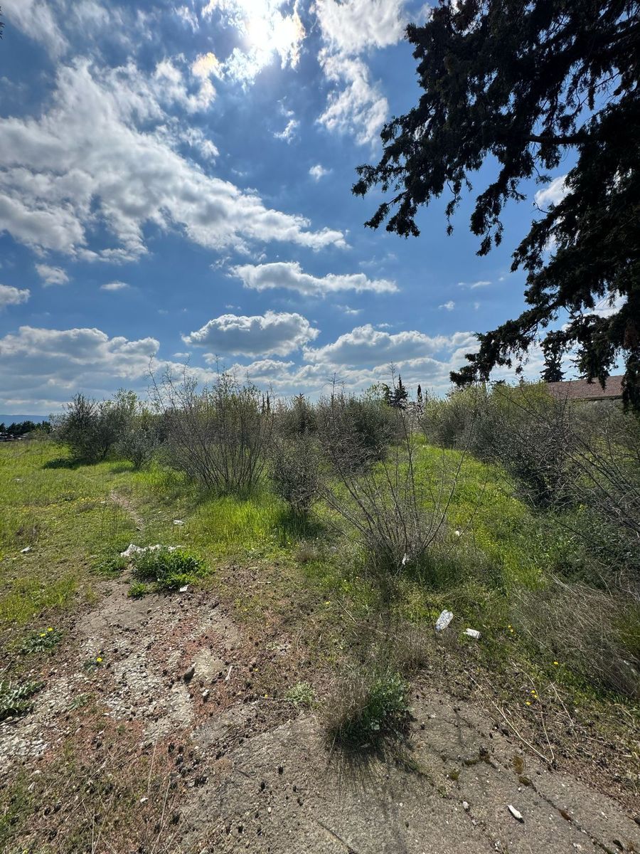 20,000 m² Plot