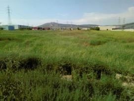 Участок 7020 м²