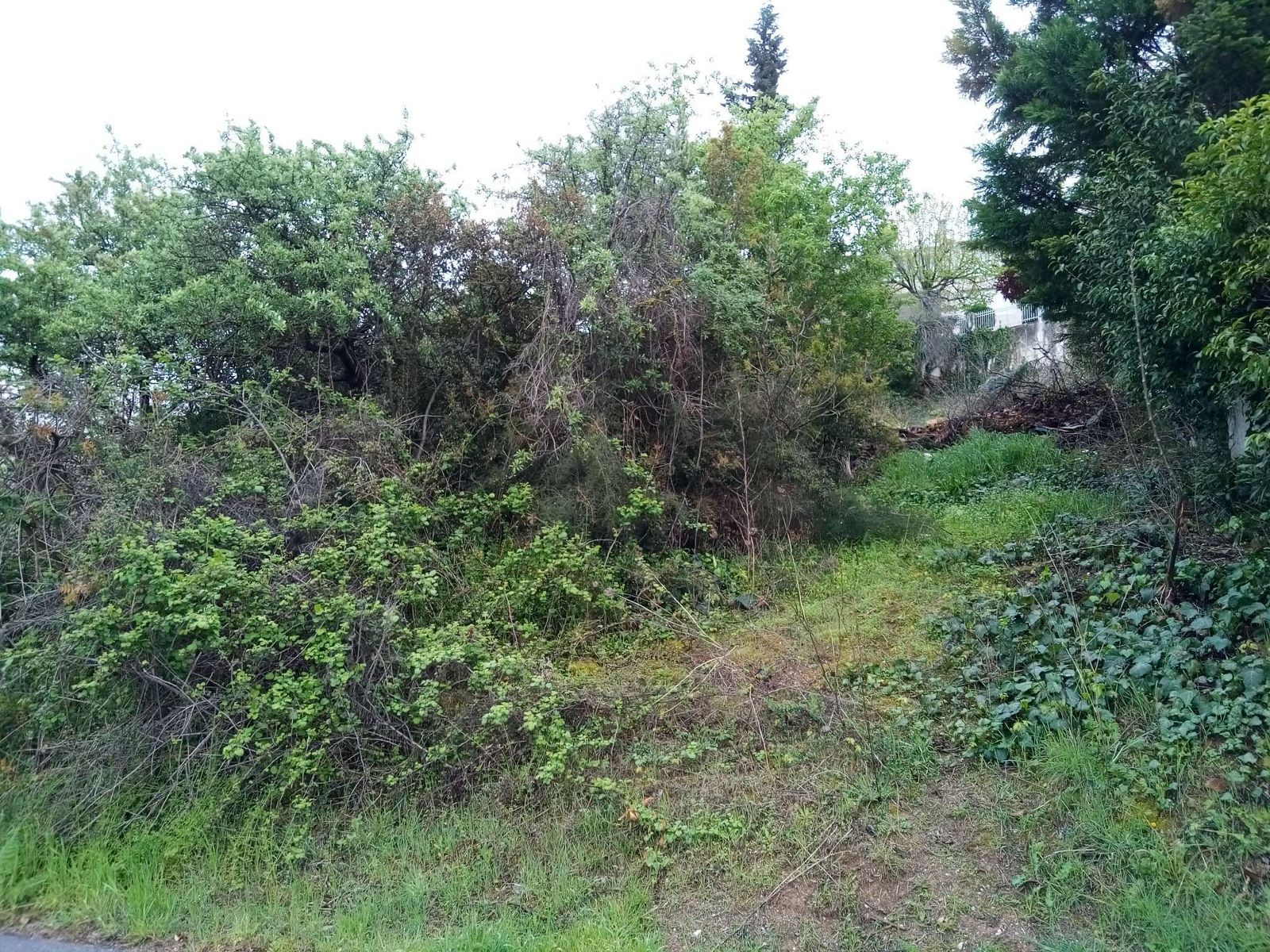 Участок 850 м²
