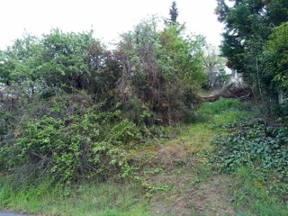 850 m² Plot