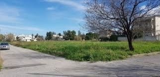 1000 m² Plot