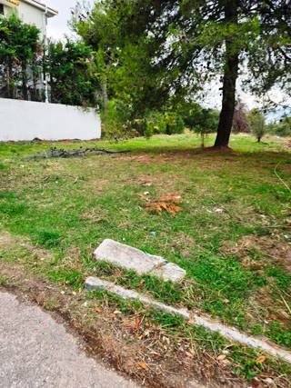 758 m² Plot
