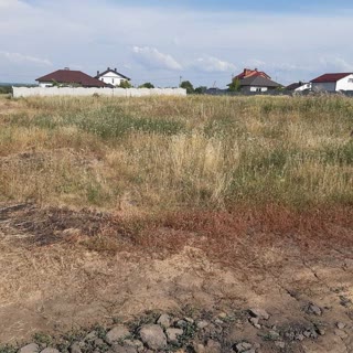 Земельний участок в Коротичі