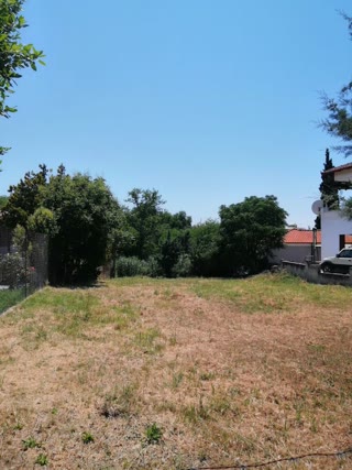 850 m² Plot