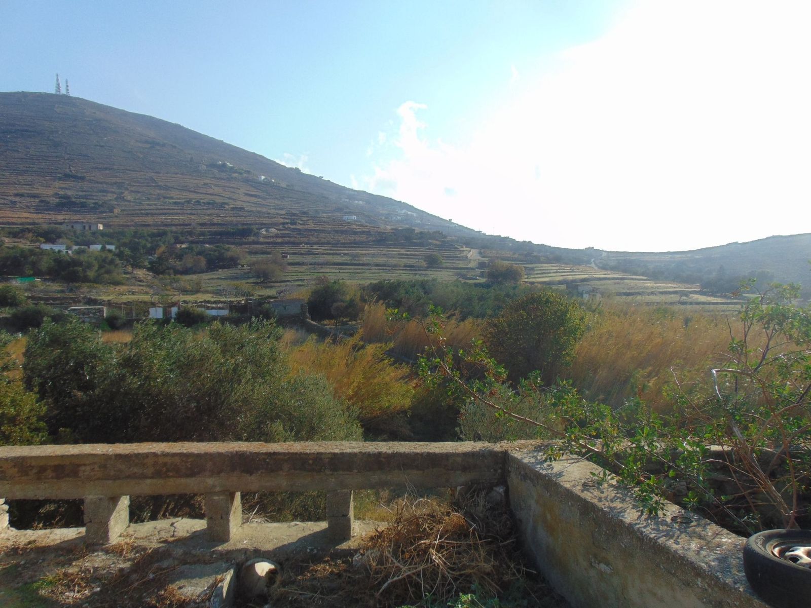 Οικόπεδο 1000 τ.μ.