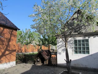 house in the center