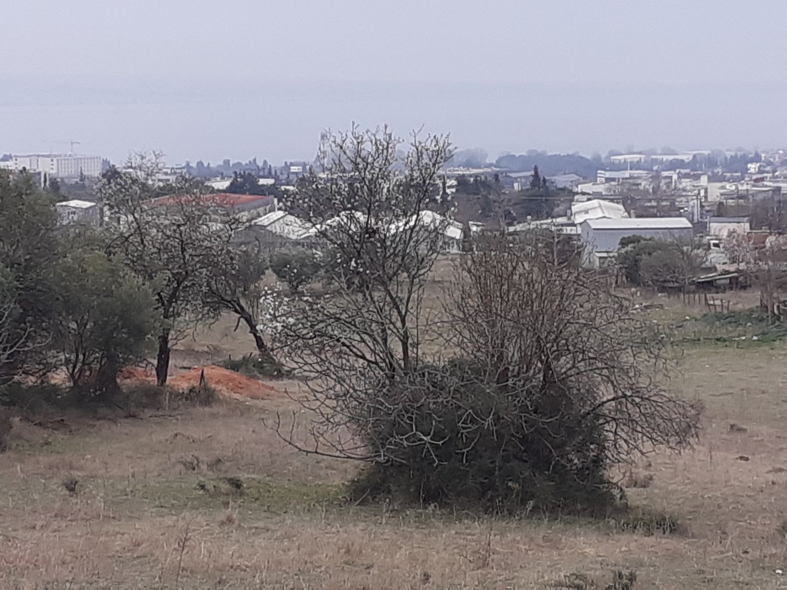 1107 m² Parcel