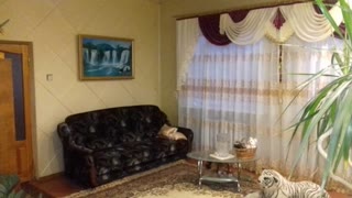 Продам великий капітальний будинок, обмін на квартиру або авто