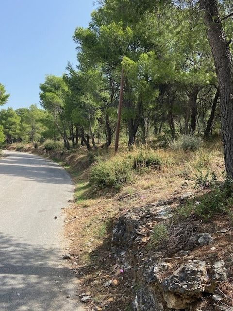 Οικόπεδο 2000 τ.μ.