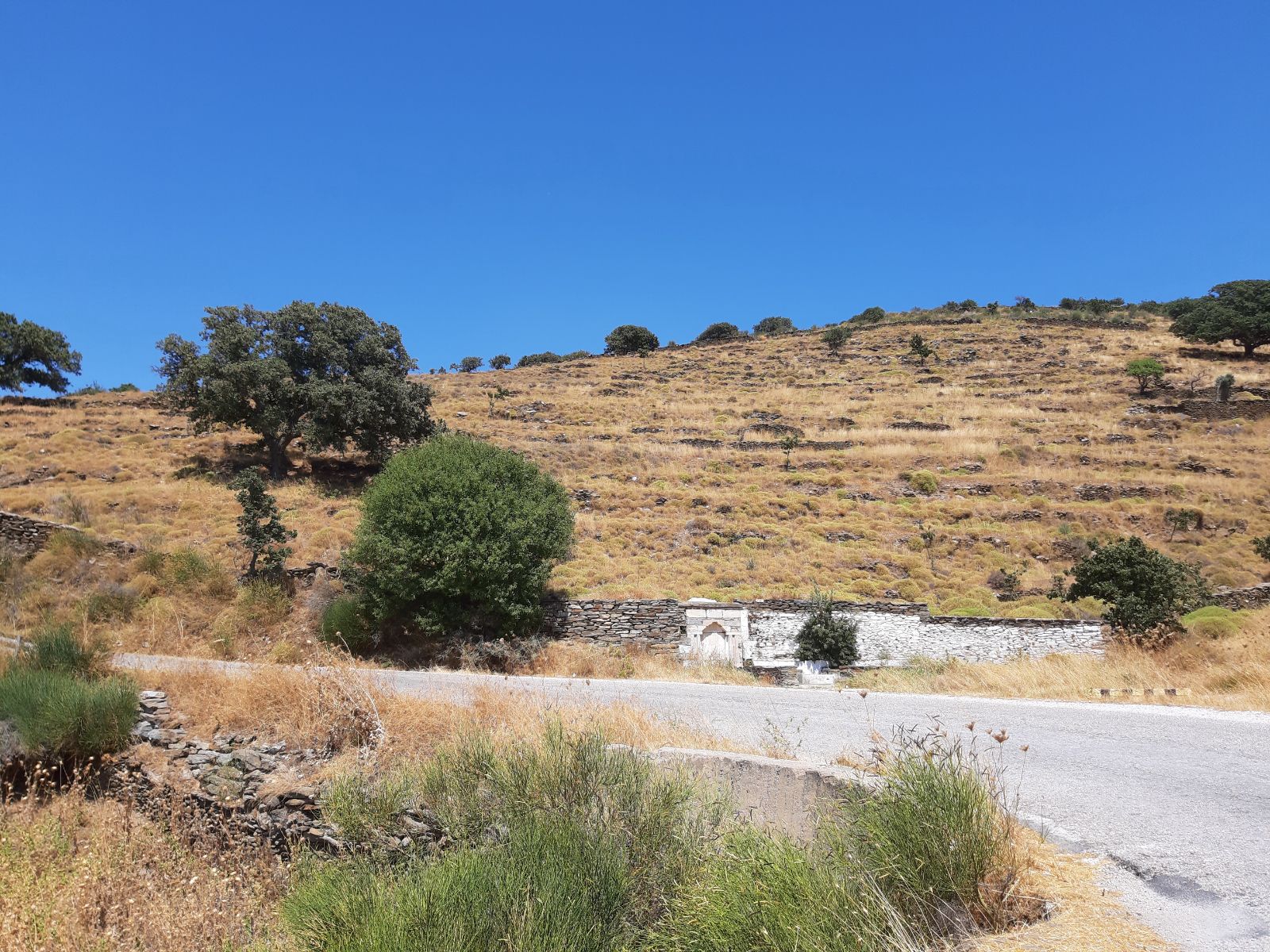 Αγροτεμάχιο 16927 τ.μ.
