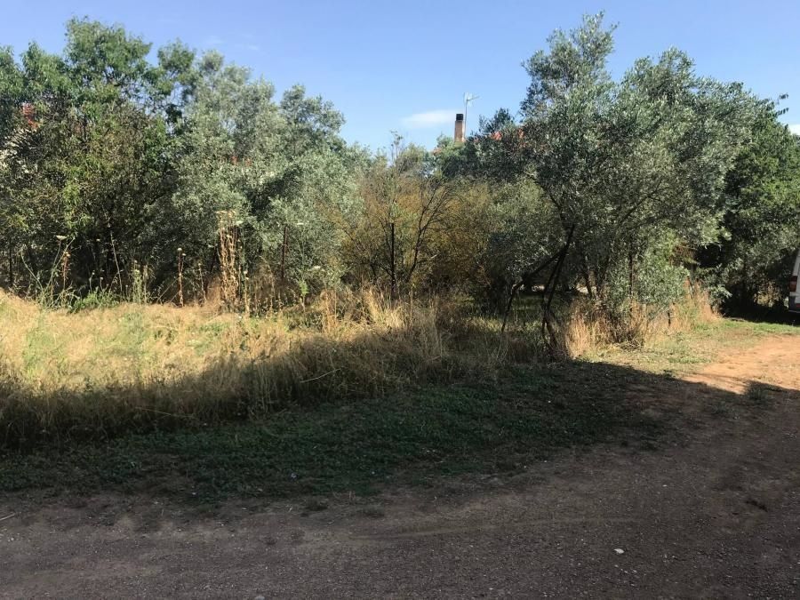 548 m² Plot