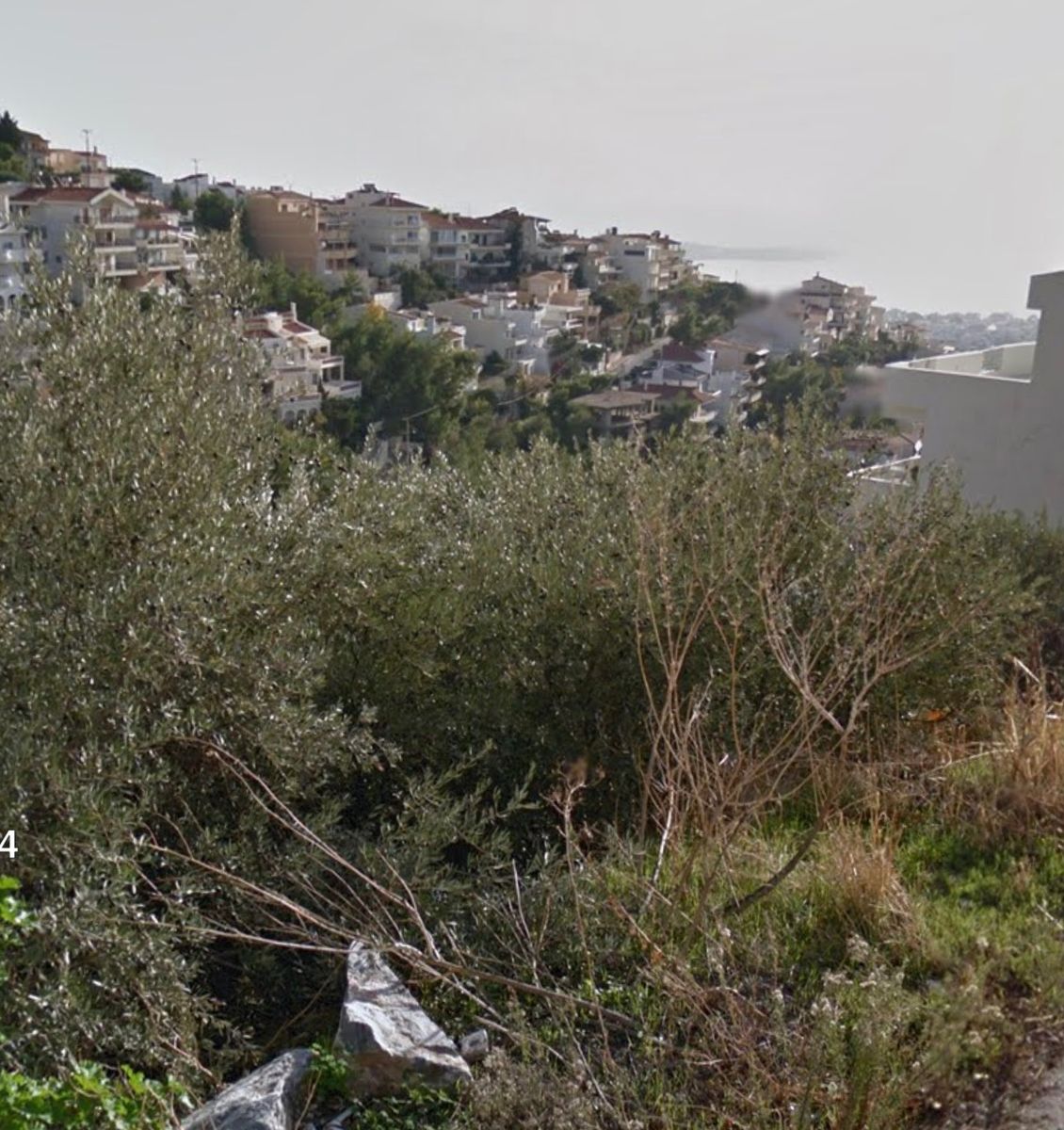 365 m² Plot