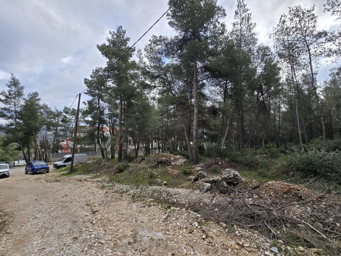 Οικόπεδο 1800τ.μ.