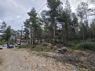1800 m² Plot