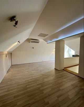 10+ room private house for rent in Tskneti