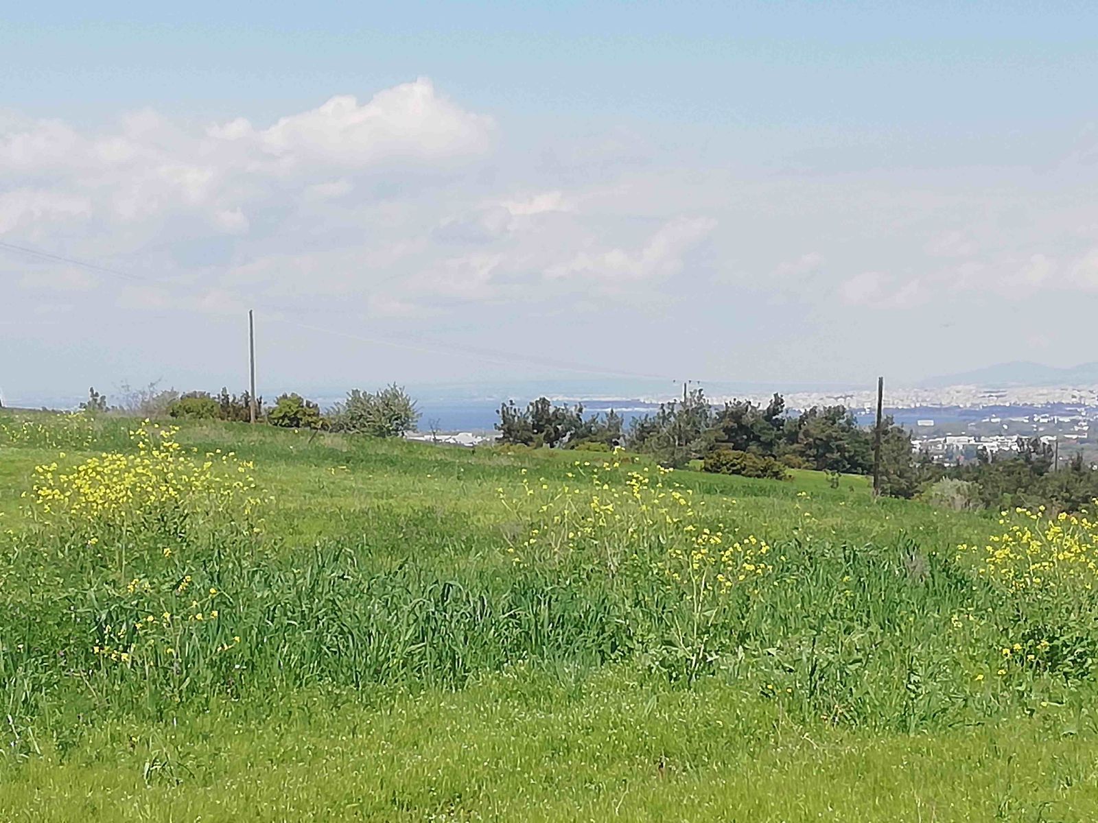 Parcel of 9000 m²