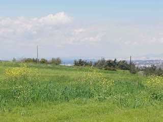 9000 τ.μ. Αγροτεμάχιο