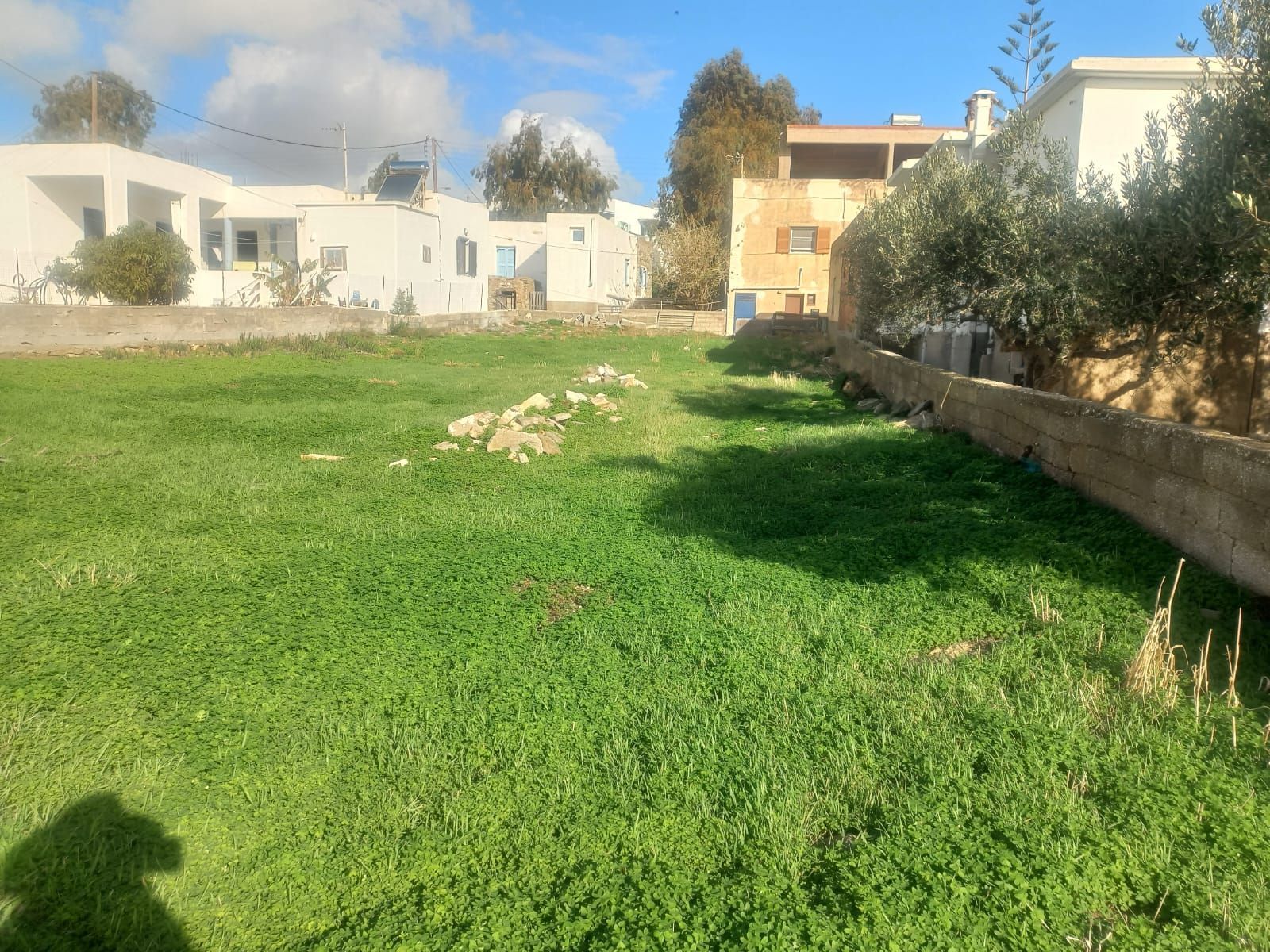 538 m² Plot