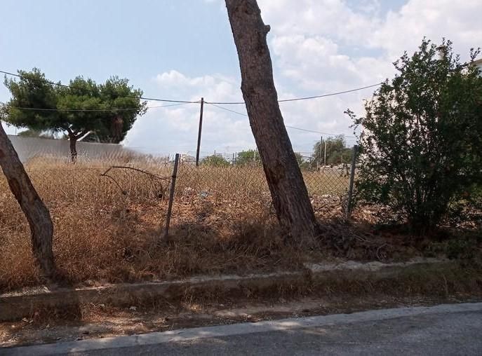 Οικόπεδο 475τ.μ.