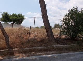 475 m² Plot