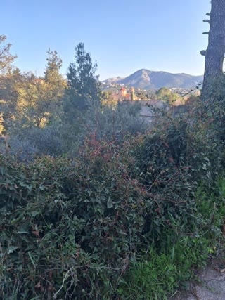 1035 m² Plot
