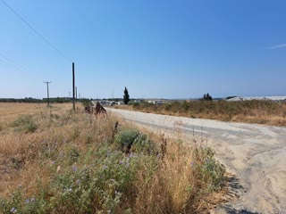 12371 m² Parcel