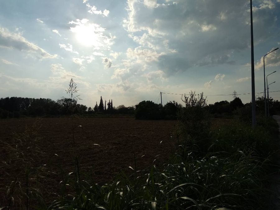 Участок, 12000 м²