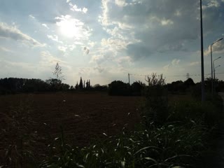 Участок, 12000 м²
